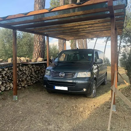 Ferienhaus Il-pino Holiday home