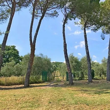 Holiday home Ferienhaus Il-pino *